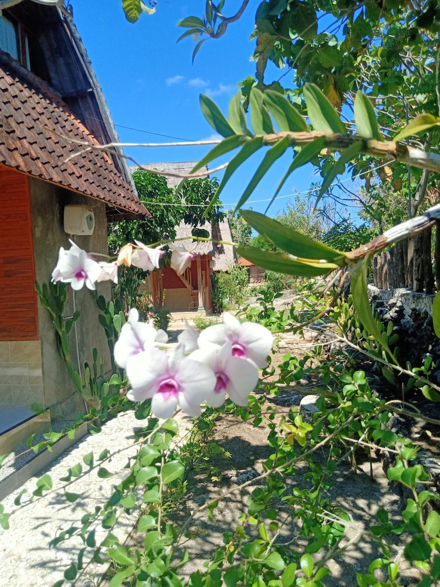 The Somayan Bungalows Batununggul Exterior photo